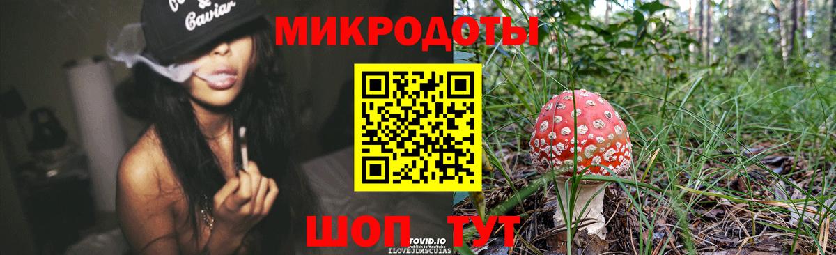 Галлюциногенные грибы Psilocybine cubensis  наркотики  Баксан  Вход с VPN  Псилоцибиновые грибы Magic Shrooms 
